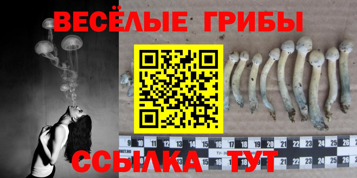 Псилоцибиновые грибы ЛСД Конаково
